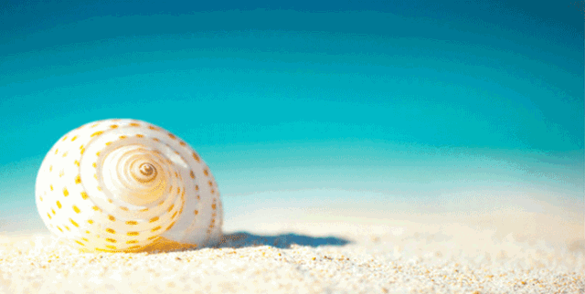 郑州直飞菲律宾长滩岛包机7月5日盛大起航