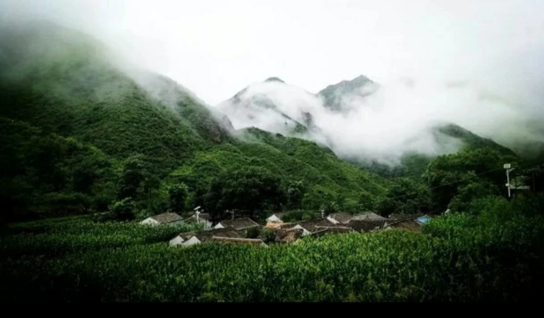 Screenshot_2019-07-14-08-14-30-438_com.tencent.mm.png