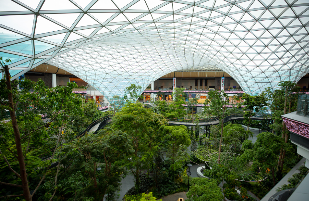 Screenshot_2024-06-06-12-05-23-088_com.tencent.mtt.png