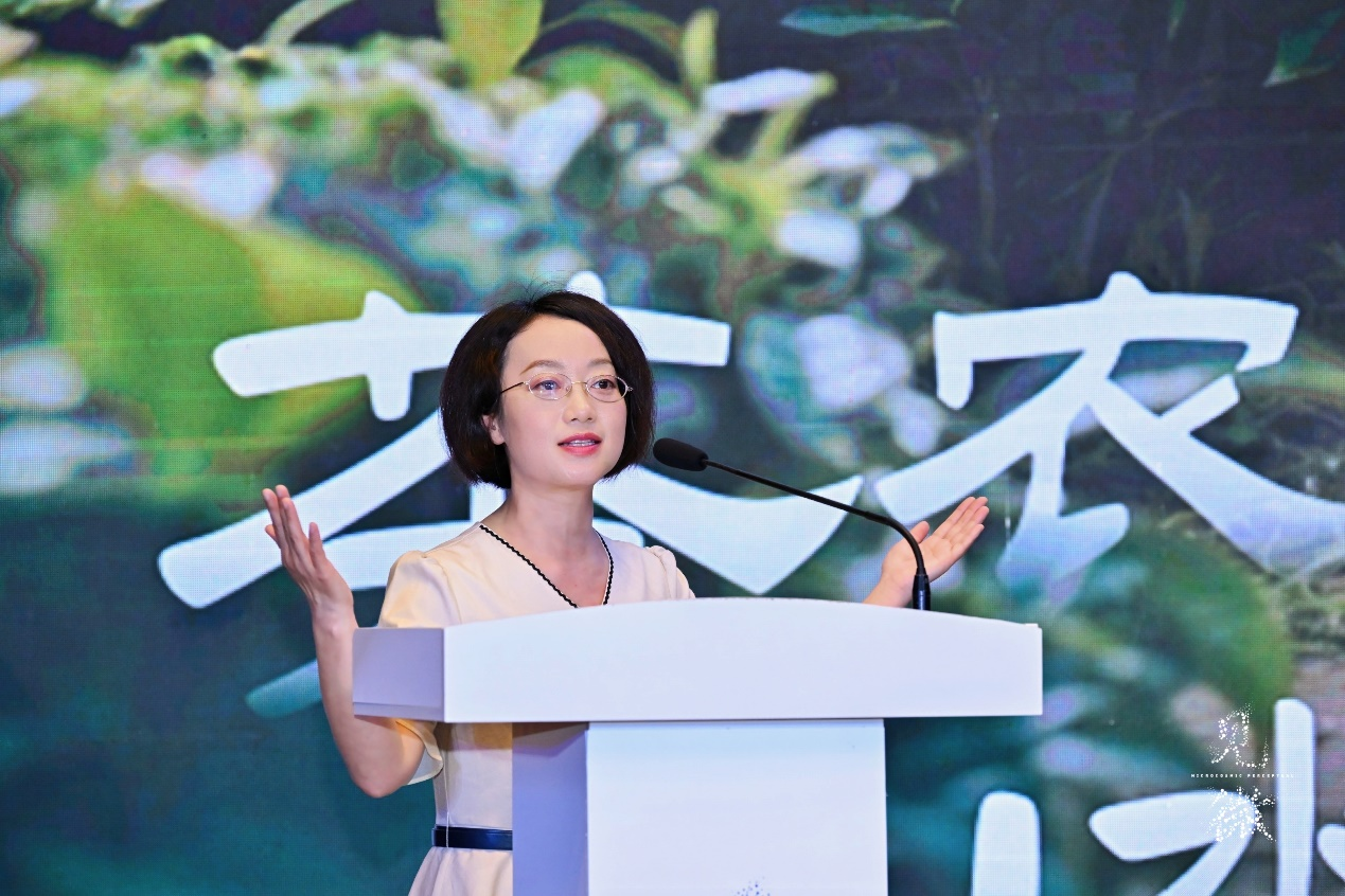 陕西省宁强县人民政府副县长马慧.png