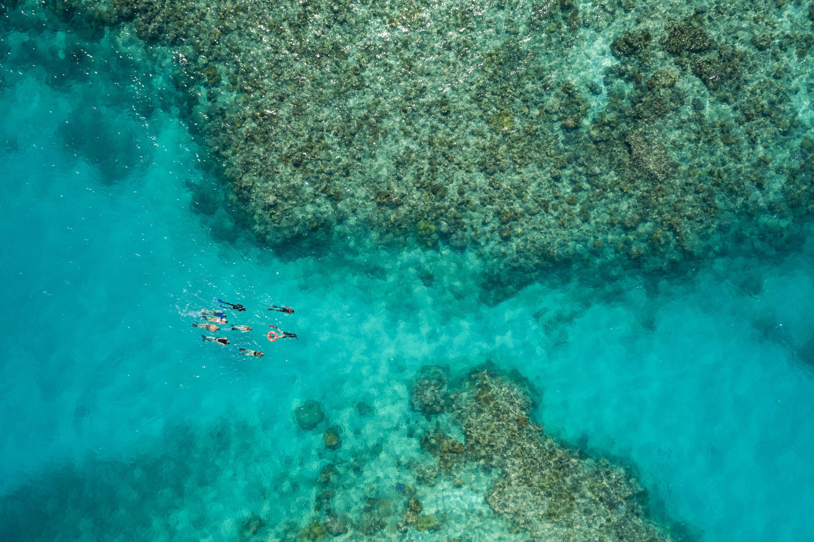 乌波洛沙洲水下珊瑚花园 Upolo Reef - Ocean Freedom - copyright TTNQ.jpg
