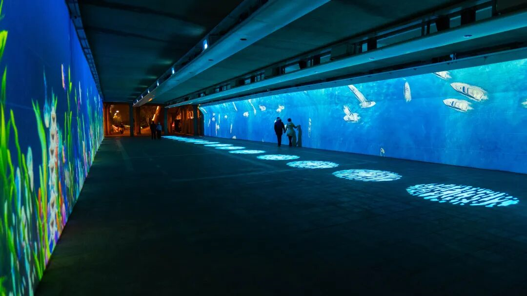 1764333756816739.png 图片 15.png