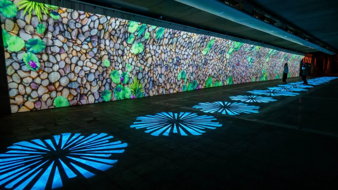 1764333762266917.png 图片 16.png