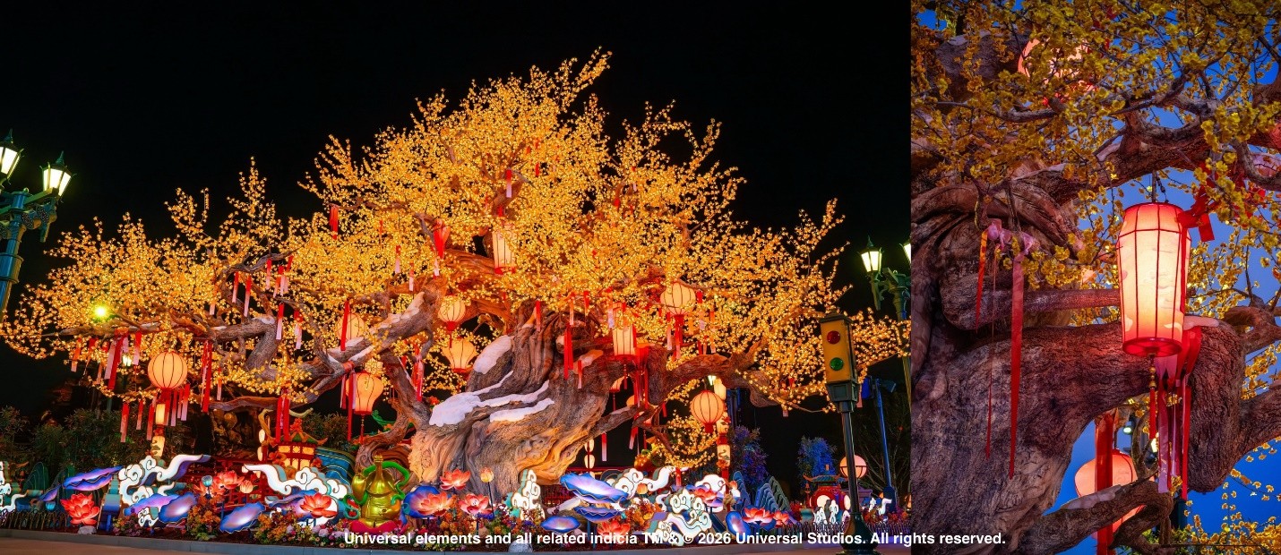 1767754359259498.jpg 3.jpg