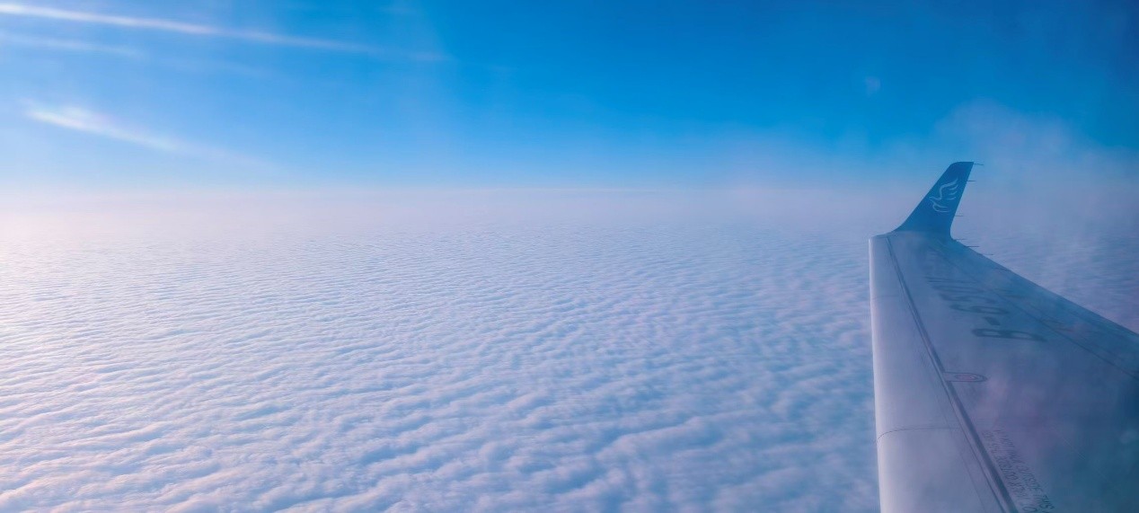 人生第一张机票，回家