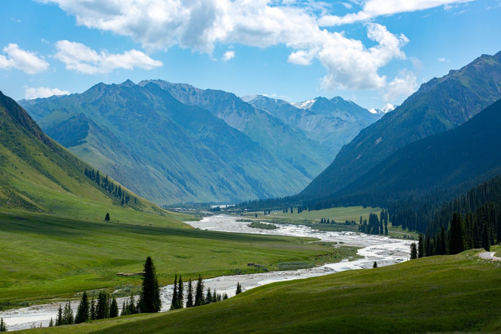 2026年一季度国内19.01亿人次出游，同比增长6%